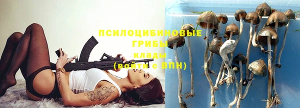 PSILOCYBIN Арсеньев