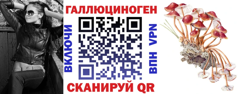 сколько стоит  Саяногорск  Псилоцибиновые грибы Psilocybe 